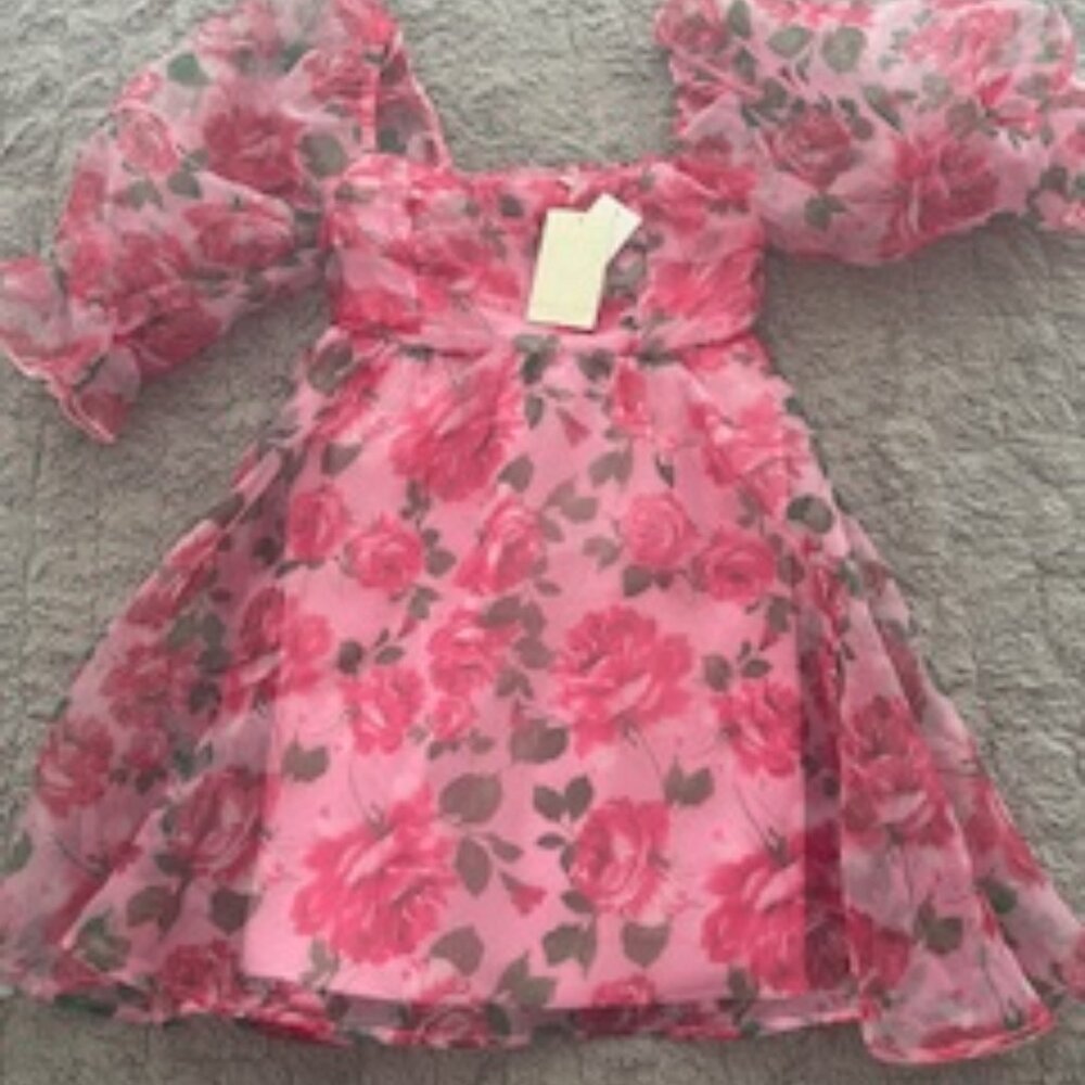 Allison + Kelly Floral Dress NWT